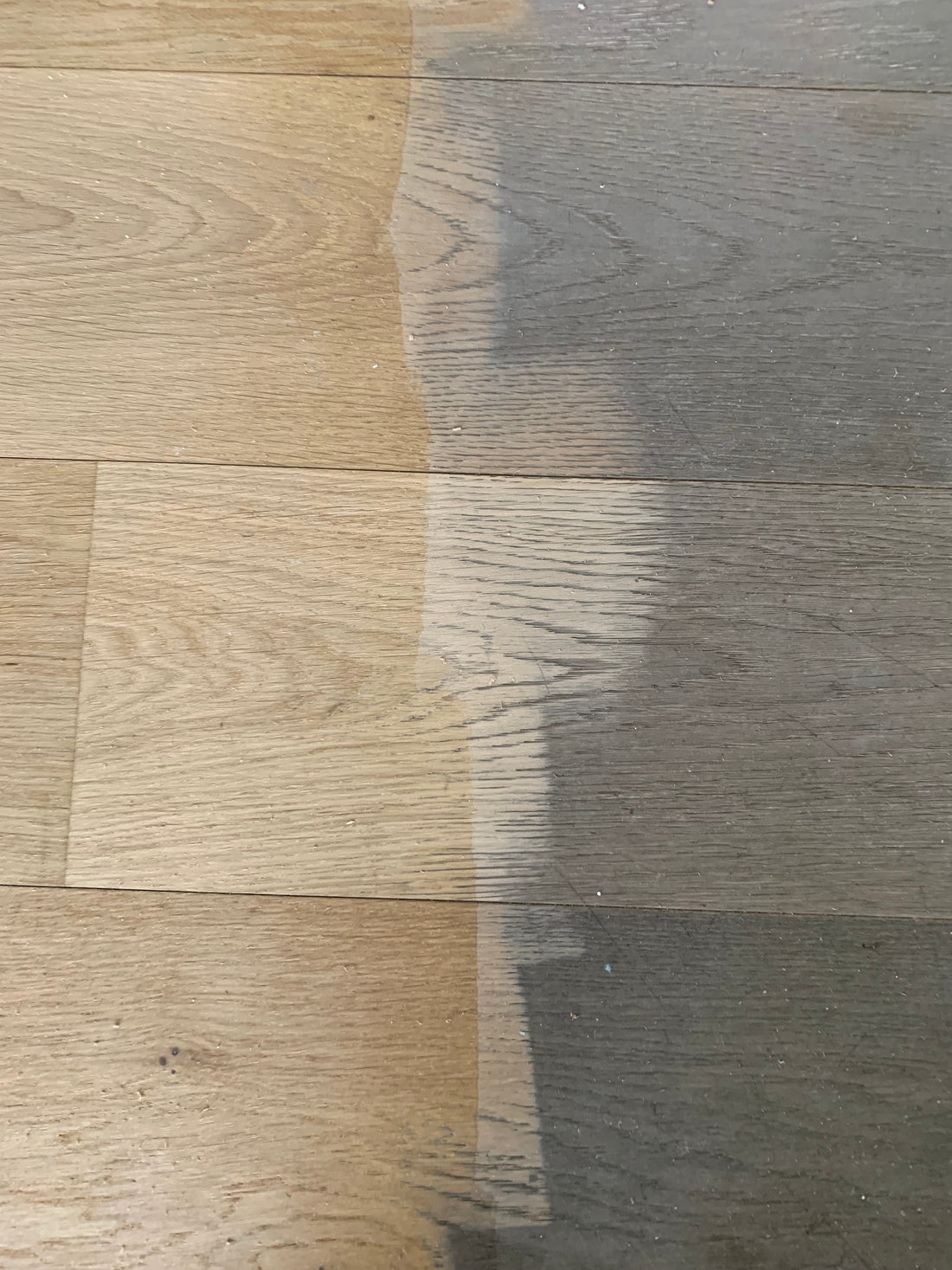Parkett richtig reinigen und pflegen: Tipps für eine lange Lebensdauer